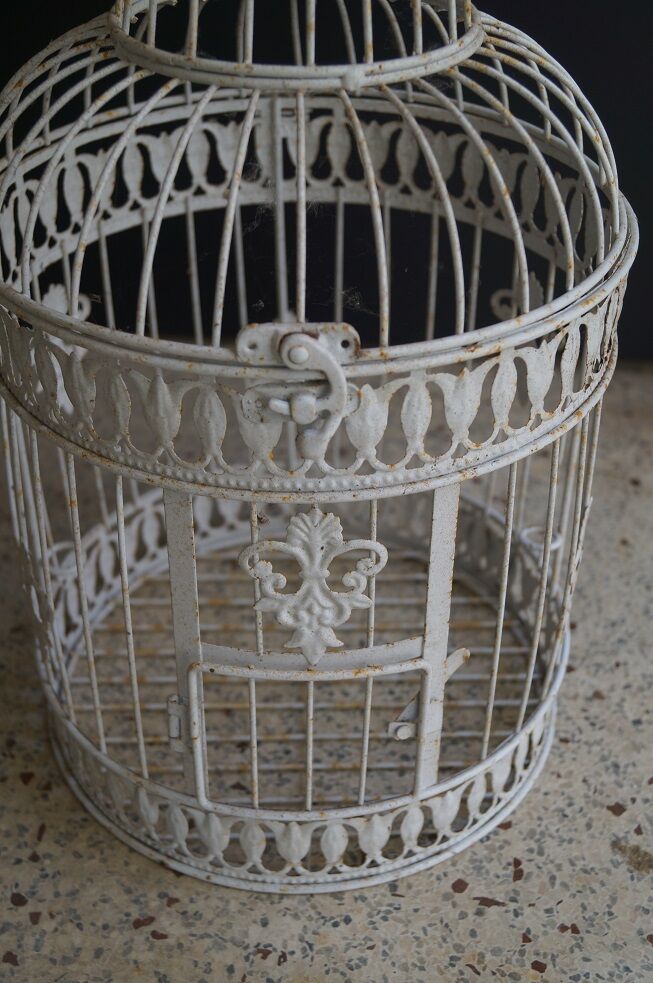 Birdcage