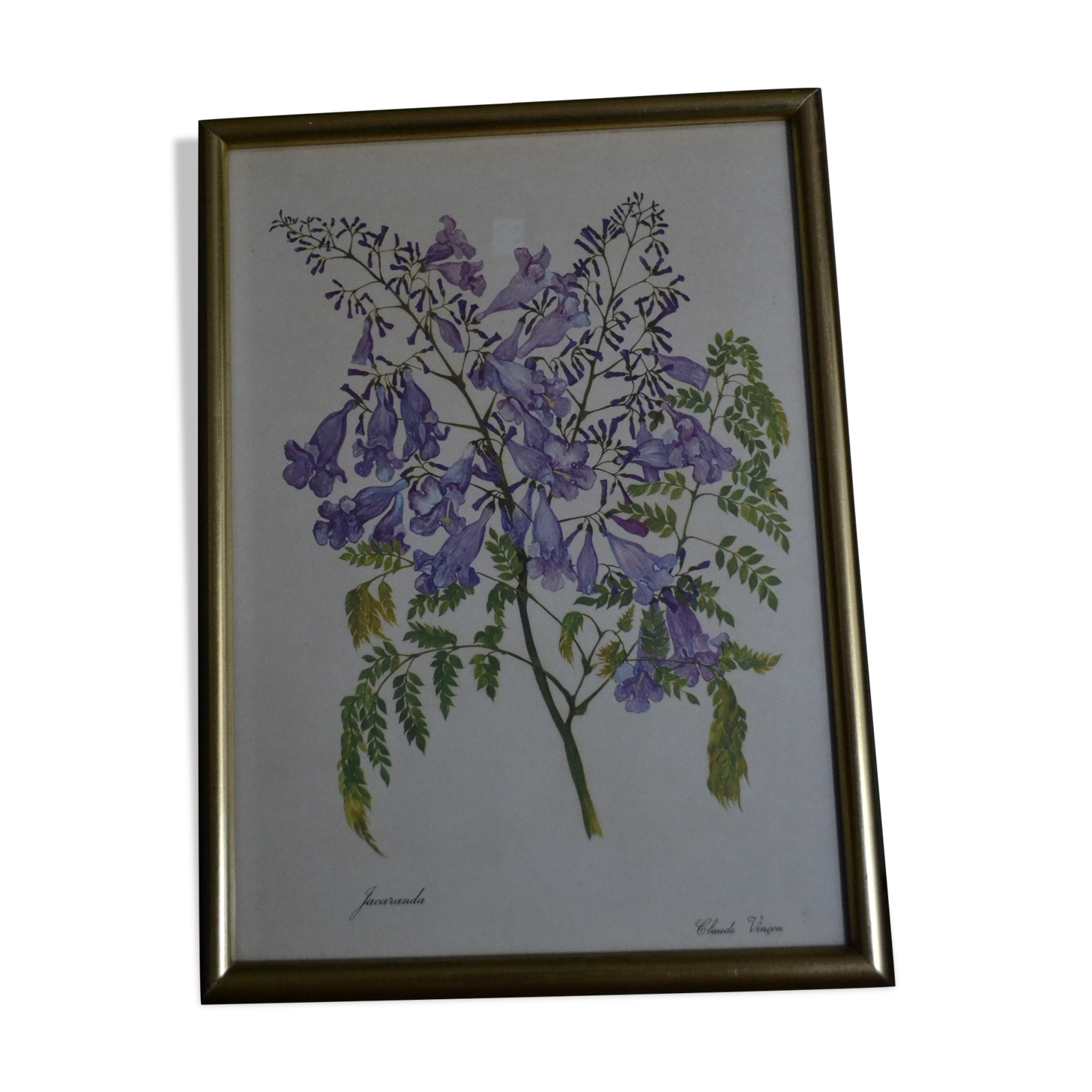 Framed jasmine botanical board