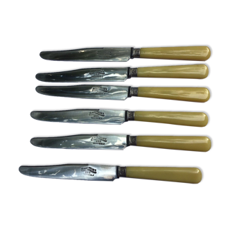 Set of 6 knives in their box