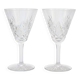 Two elegant crystal wine glasses