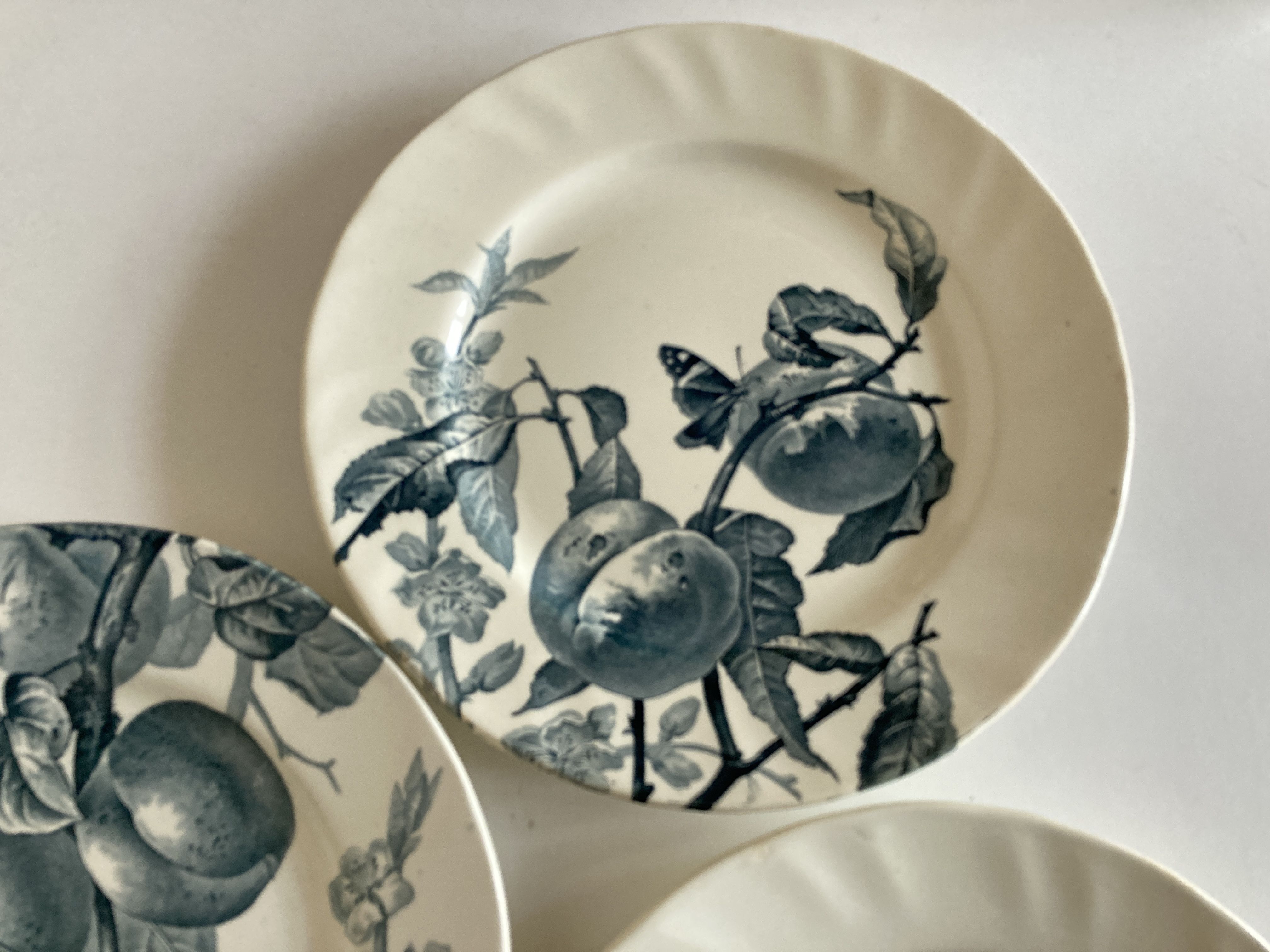 Set of 6 plates Creil Montereau Pomona iron earth early 20th