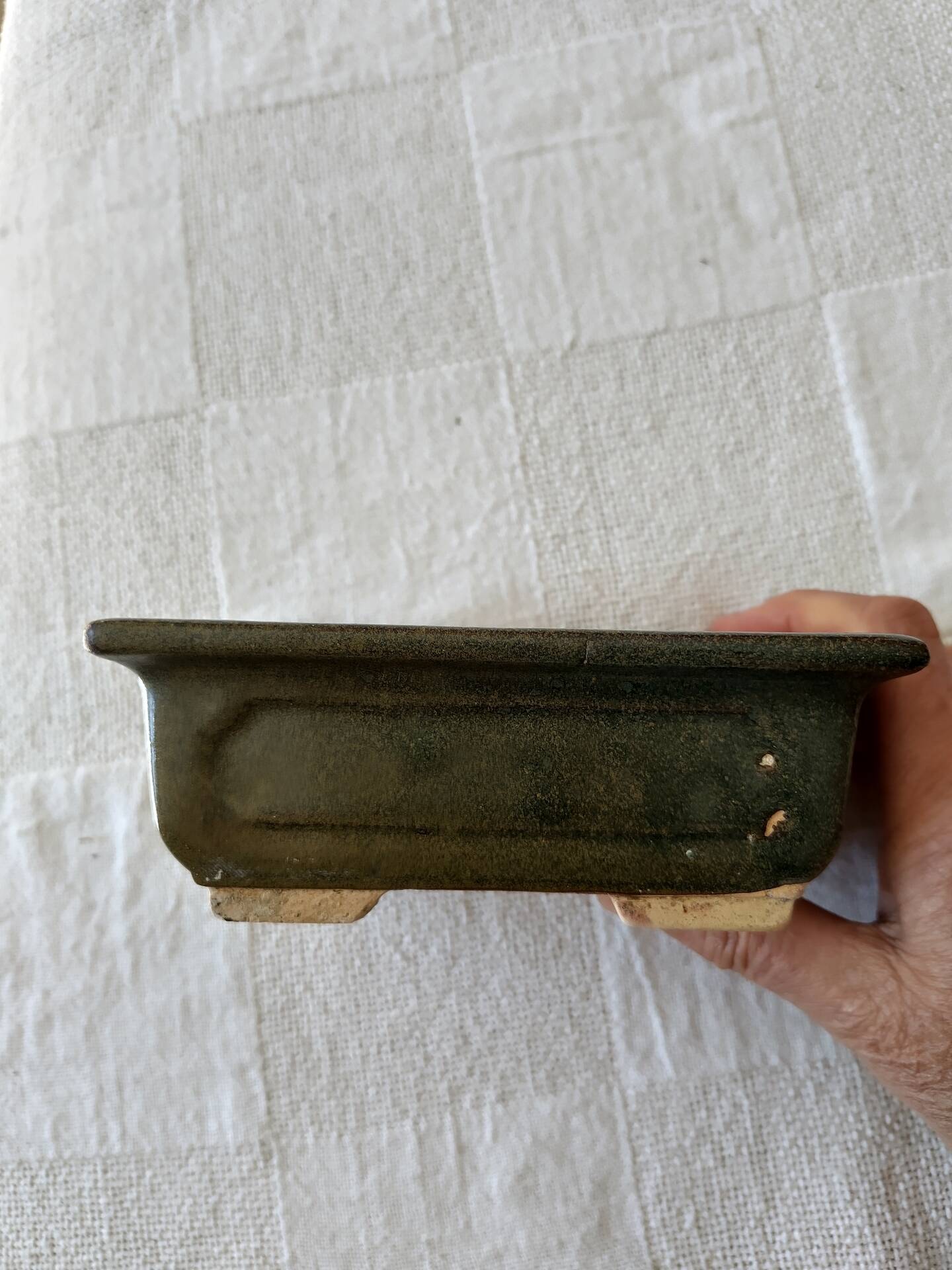 Pot bonsaï ou cactus rectangulaire vert
