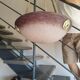 Art Deco chandelier signed Rethondes