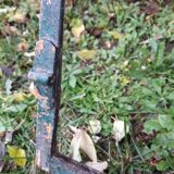 Industrial arched metal windows L73xH110 19th century glass roof