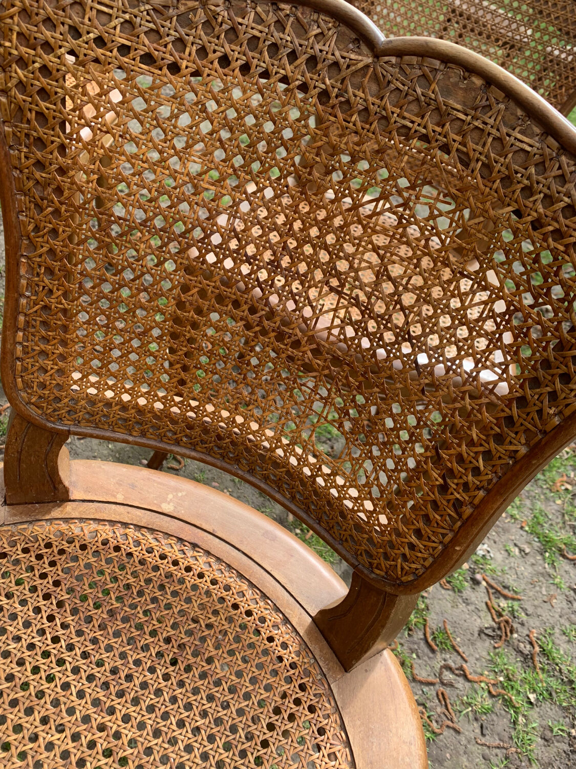 Lot de 6 chaises Louis Philippe cannées époque 19ème