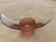 12 Guy Degrennes glass dessert cups