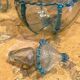 18th Century Italian Murano Clear Glass and Blue Trimmed Blown Glass Bottle