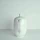 Axel Salto, Porcelain Coffee Pot for Royal Copenhagen, 1956
