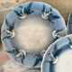 Rare dessert plates Terre de Fer Choisy le Roi, birds.