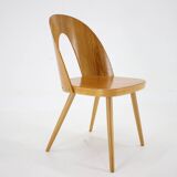 Chaise Antonin Suman des années 1960 en noyer, Tchécoslovaquie