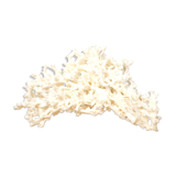 Large white coral 26x16cm