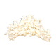 Corail blanc 26x16cm