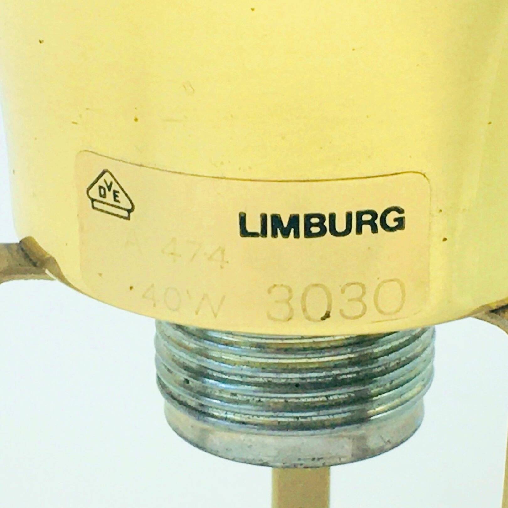 Mid-Century Modern Floral Glass & Brass Ceiling Light from Limburg, 1970s