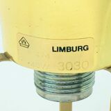 Mid-Century Modern Floral Glass & Brass Ceiling Light from Limburg, 1970s