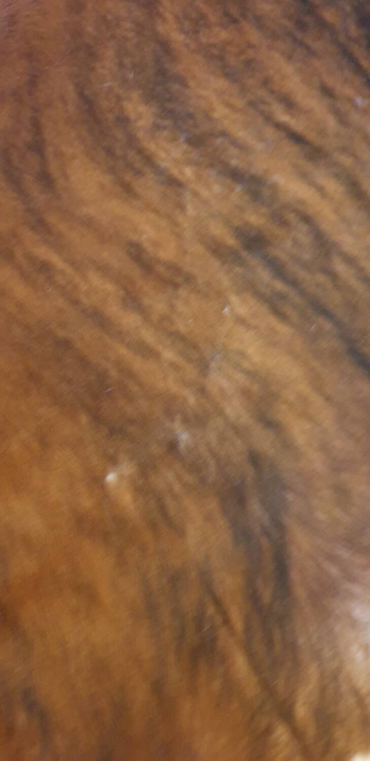 Cowhide 230/217