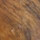Cowhide 230/217