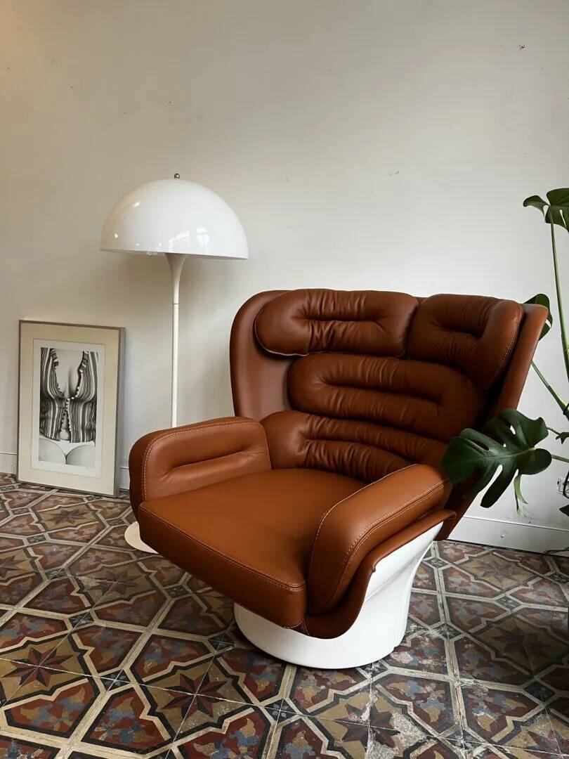 Elda lounge fauteuil– Joe Colombo, Longhi