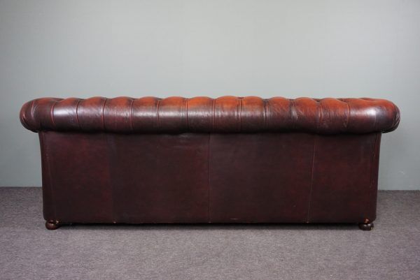 Chesterfield sofa in resistant cowhide, 3 seats