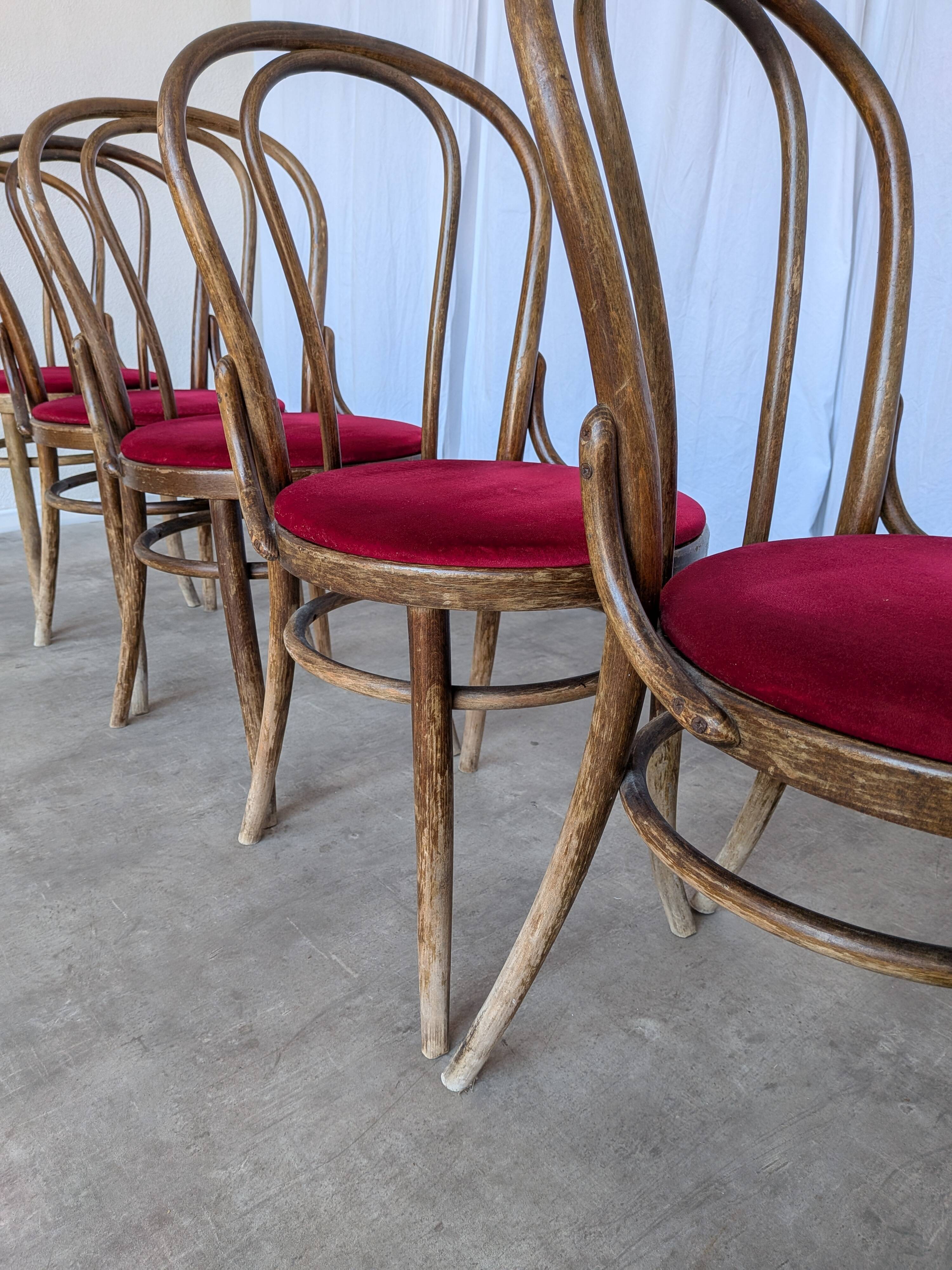 Set of 6 Vintage Bentwood Dining Chairs Set: 1970s , Red Uphols