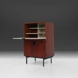 Iconic vintage dutch design CU07 Cabinet by Cees Braakman for Pastoe