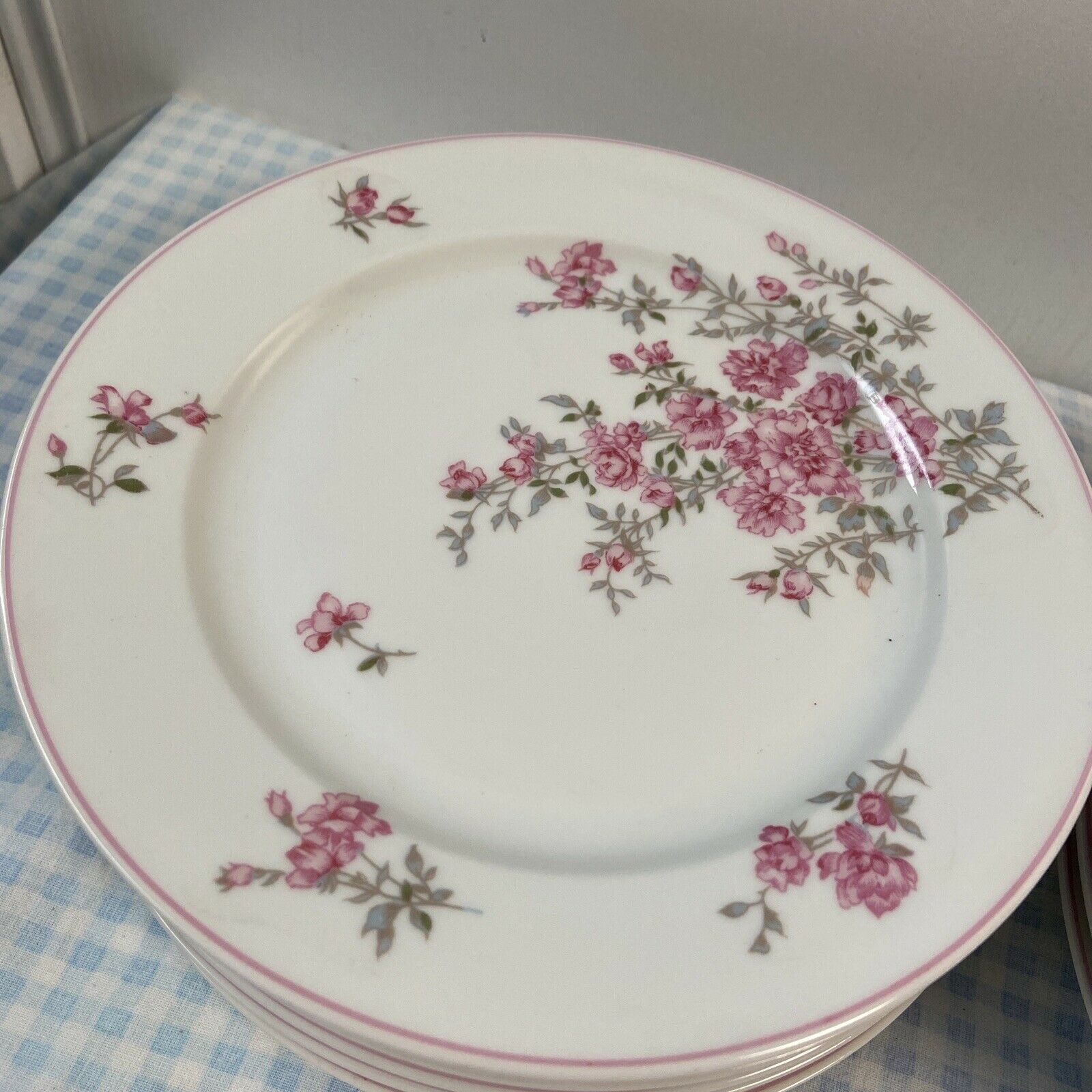 Series of 12 porcelain dessert plates decorated with flowers Bernardaud Limoges