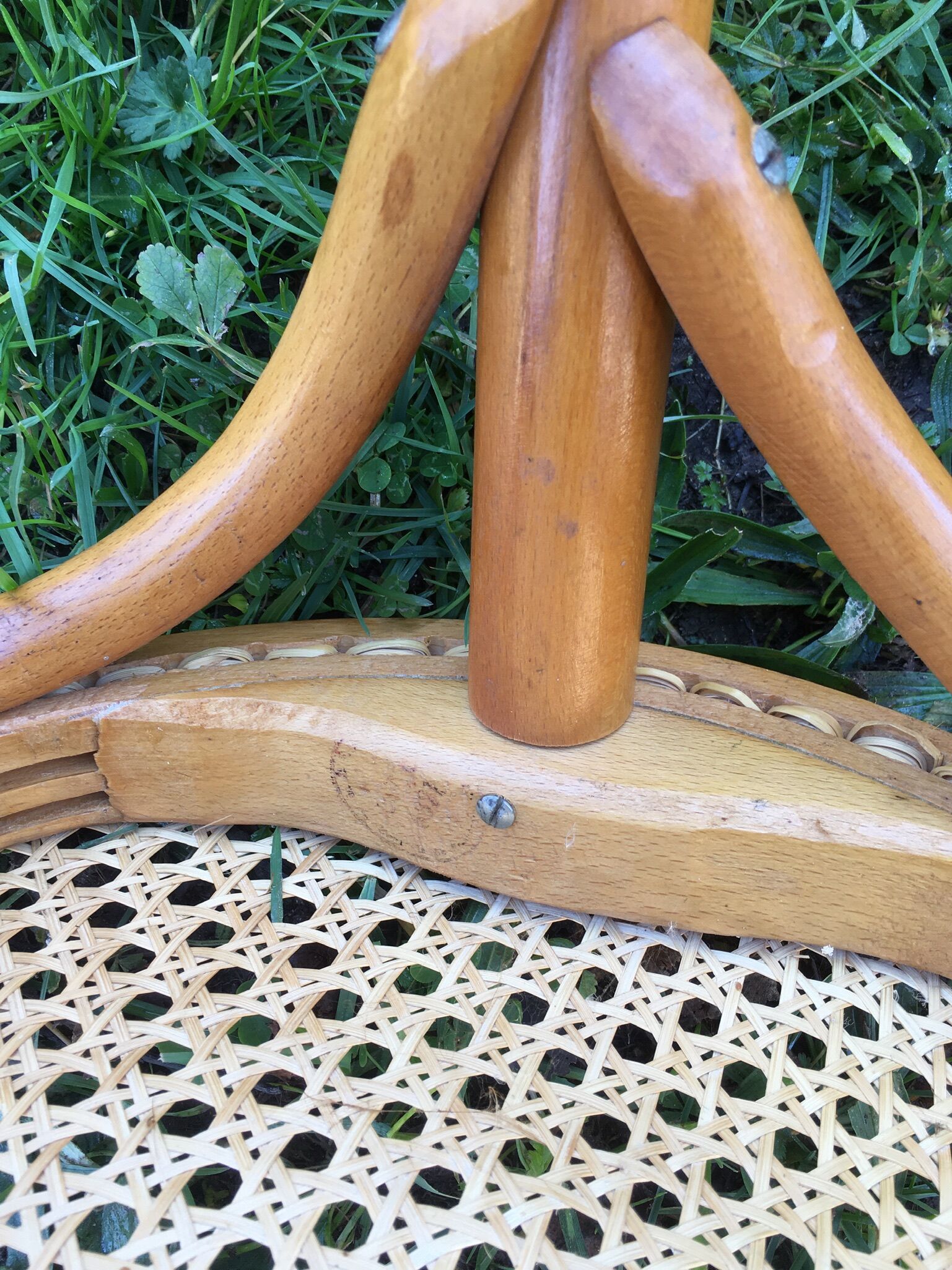 Cane bar and curved wood