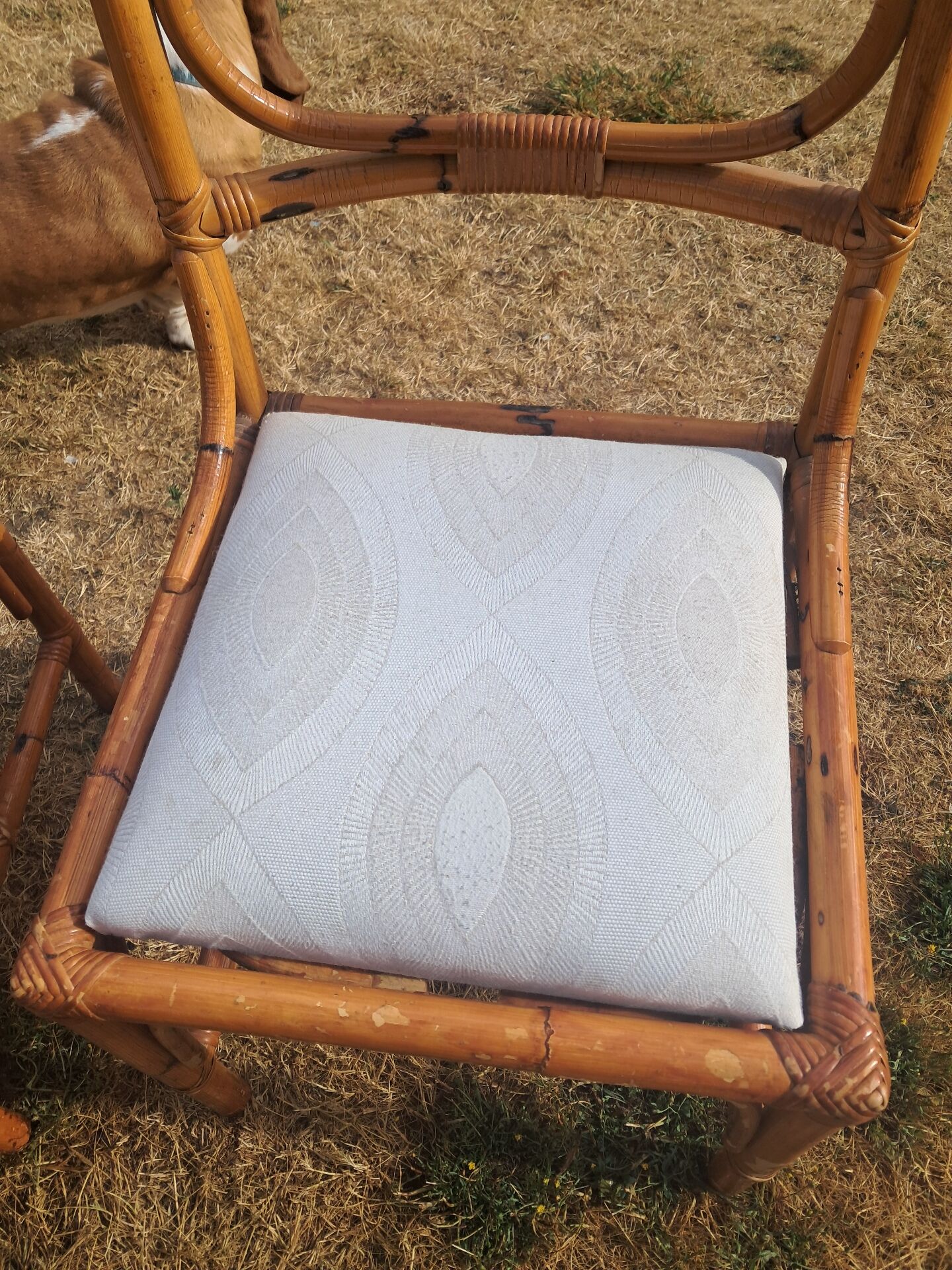3 chaises en rotin