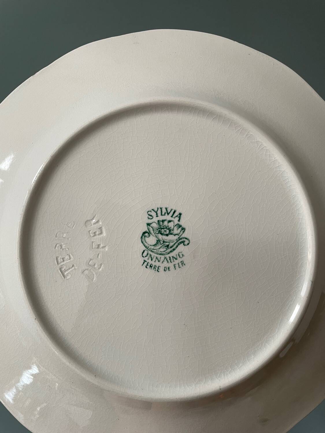 Series of 12 Terre de Fer flat plates in Onnaing earthenware, Sylvia model