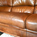 Sofa and leather armchair