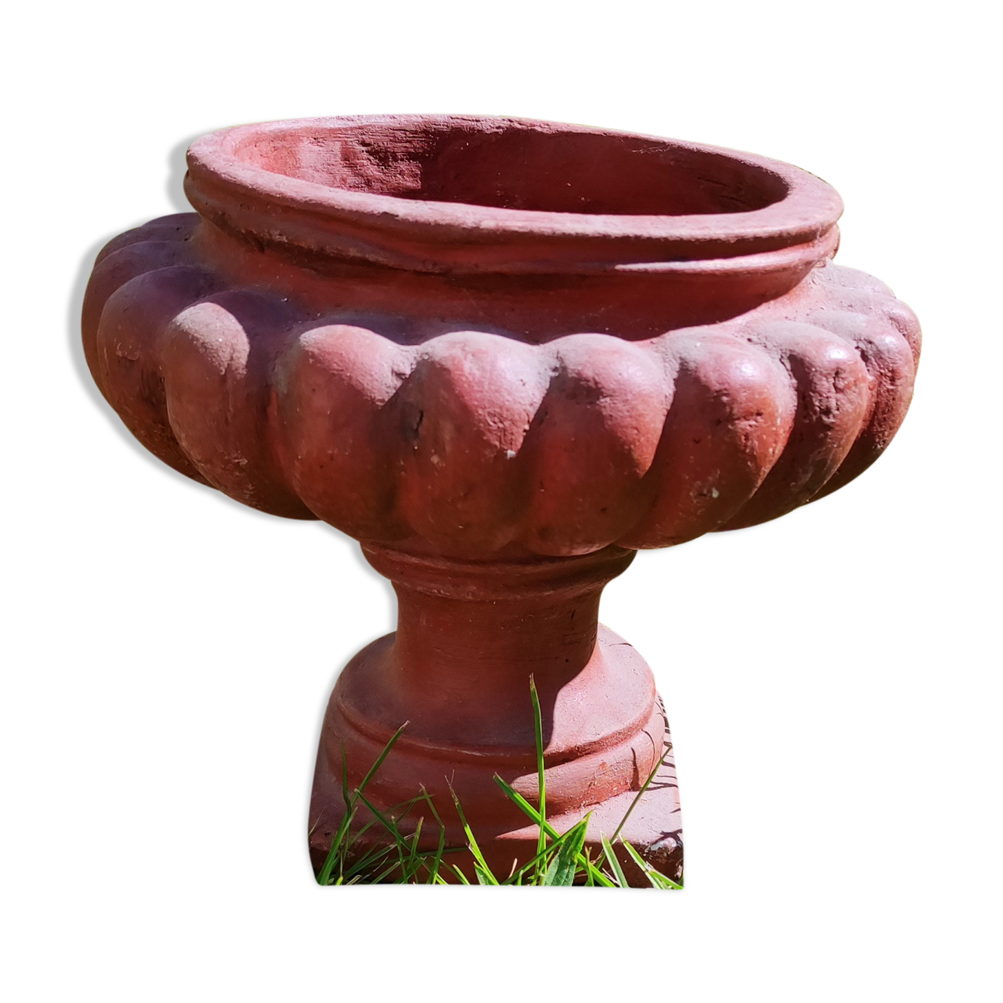 Médici pot in terracotta