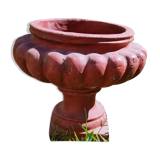 Médici pot in terracotta
