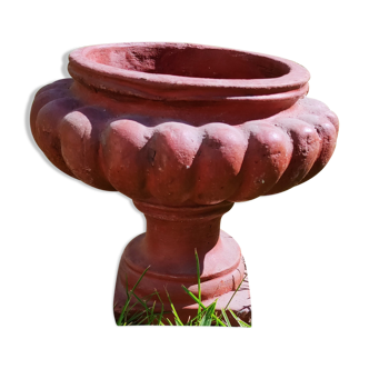 Médici pot in terracotta