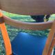 Pair of chairs Scandinavian