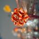 Venetian Rezzonico chandelier made of Murano glass circa 1900