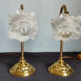 Pair of vintage gooseneck lamp