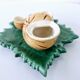 Servant Salt Pepper Mustard Ceramic DLG Vallauris Barbotine Escargot Leaf