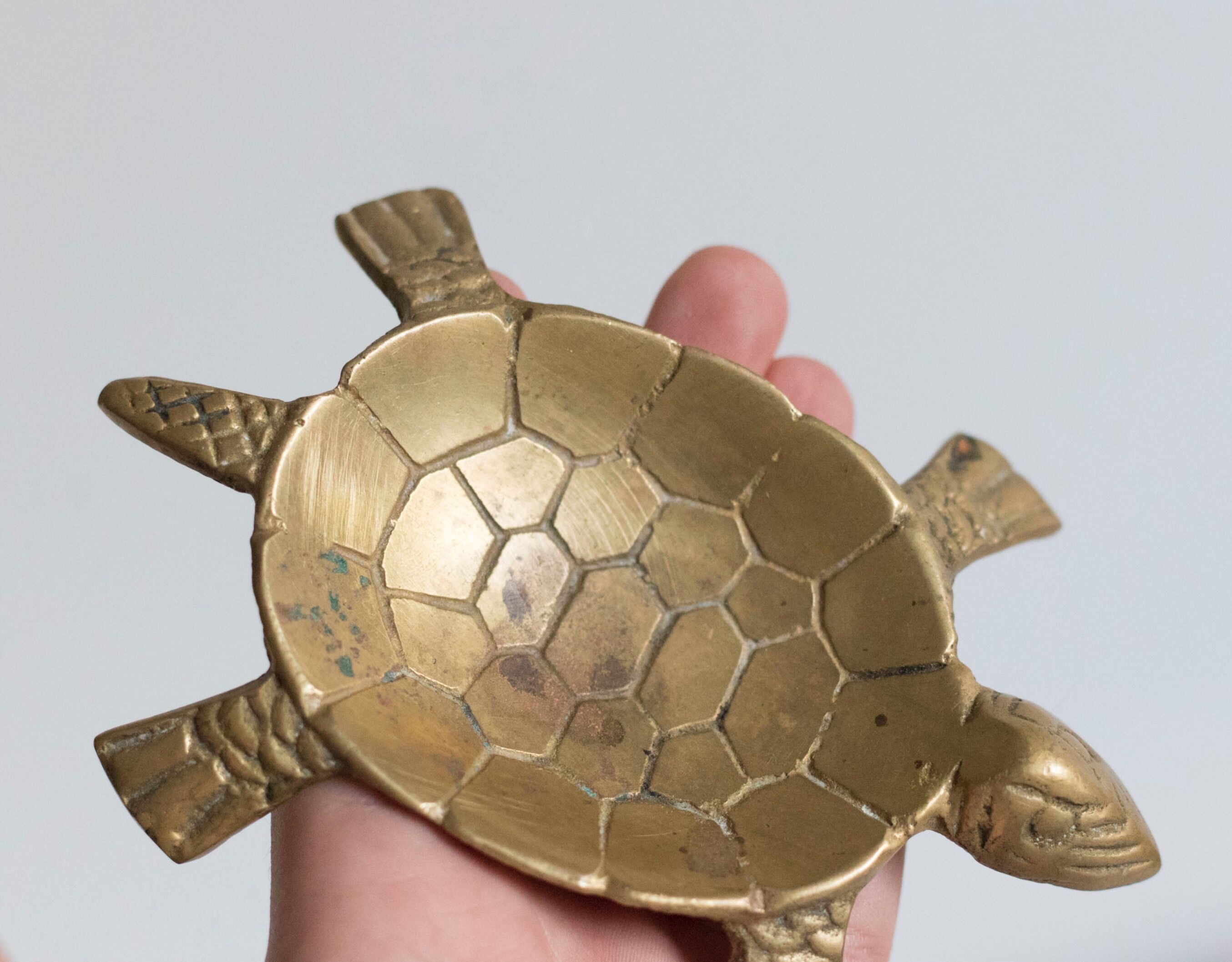 Ashtray / empty turtle brass pockets