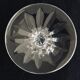 4 crystal red wine glasses from saint-louis camargue model
