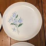 Set of 5 flat plates Sovirel