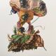Impression vintage Insectes, Illustration ancienne année 60