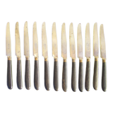Series of twelve antique knives