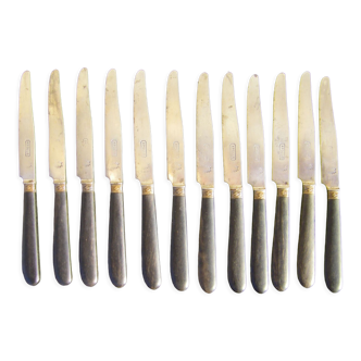 Series of twelve antique knives