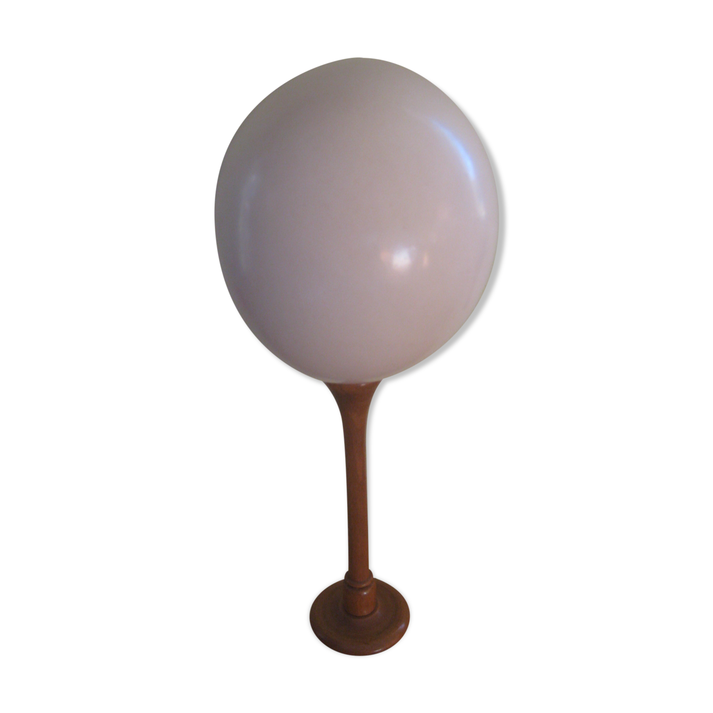 Ostrich Egg And Its Presentation Base