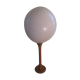 Ostrich Egg And Its Presentation Base