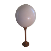 Ostrich Egg And Its Presentation Base
