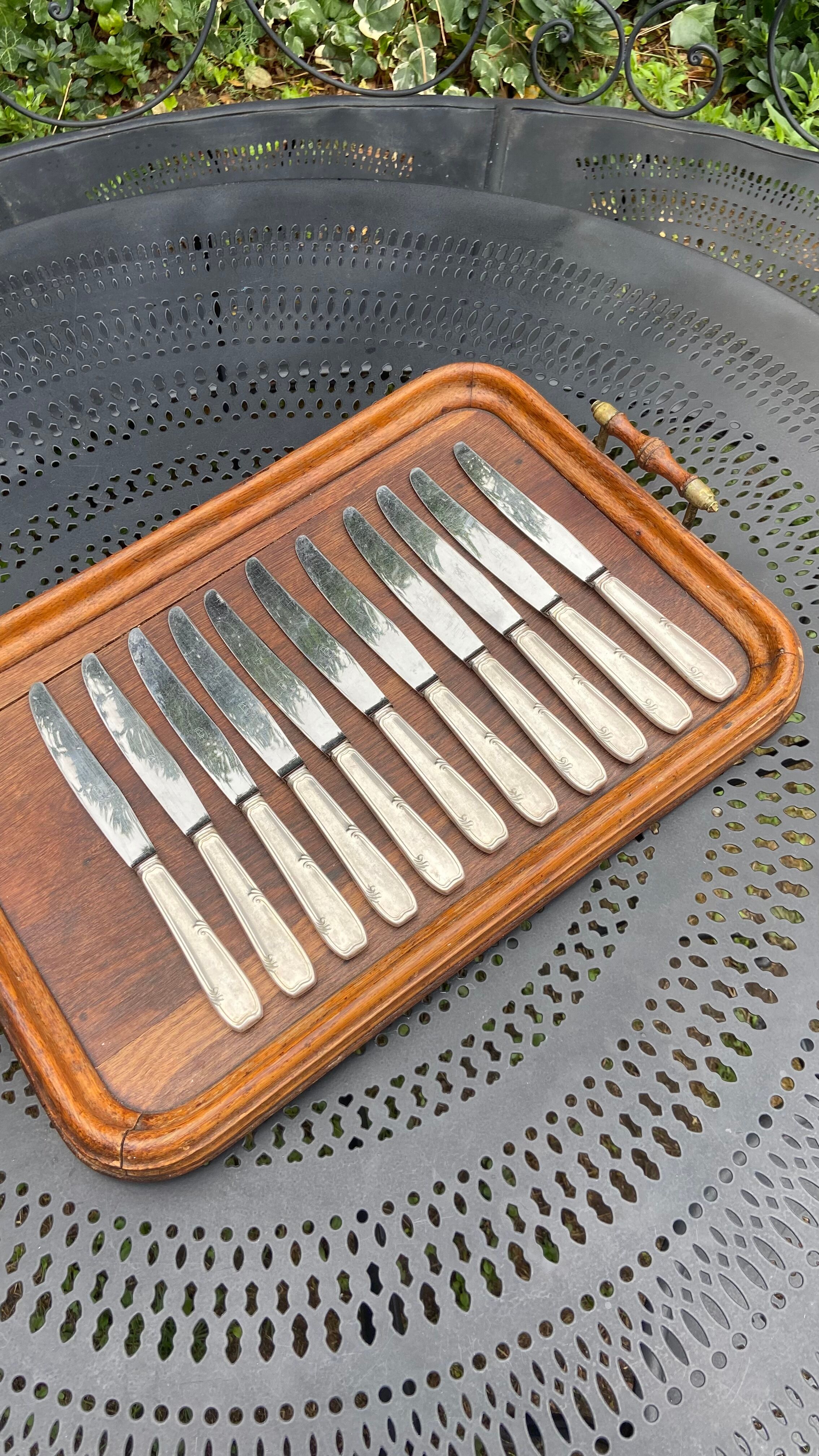 PRODUCT BHV - Set of 11 large silver metal knives