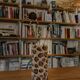 Large Leopard Vase