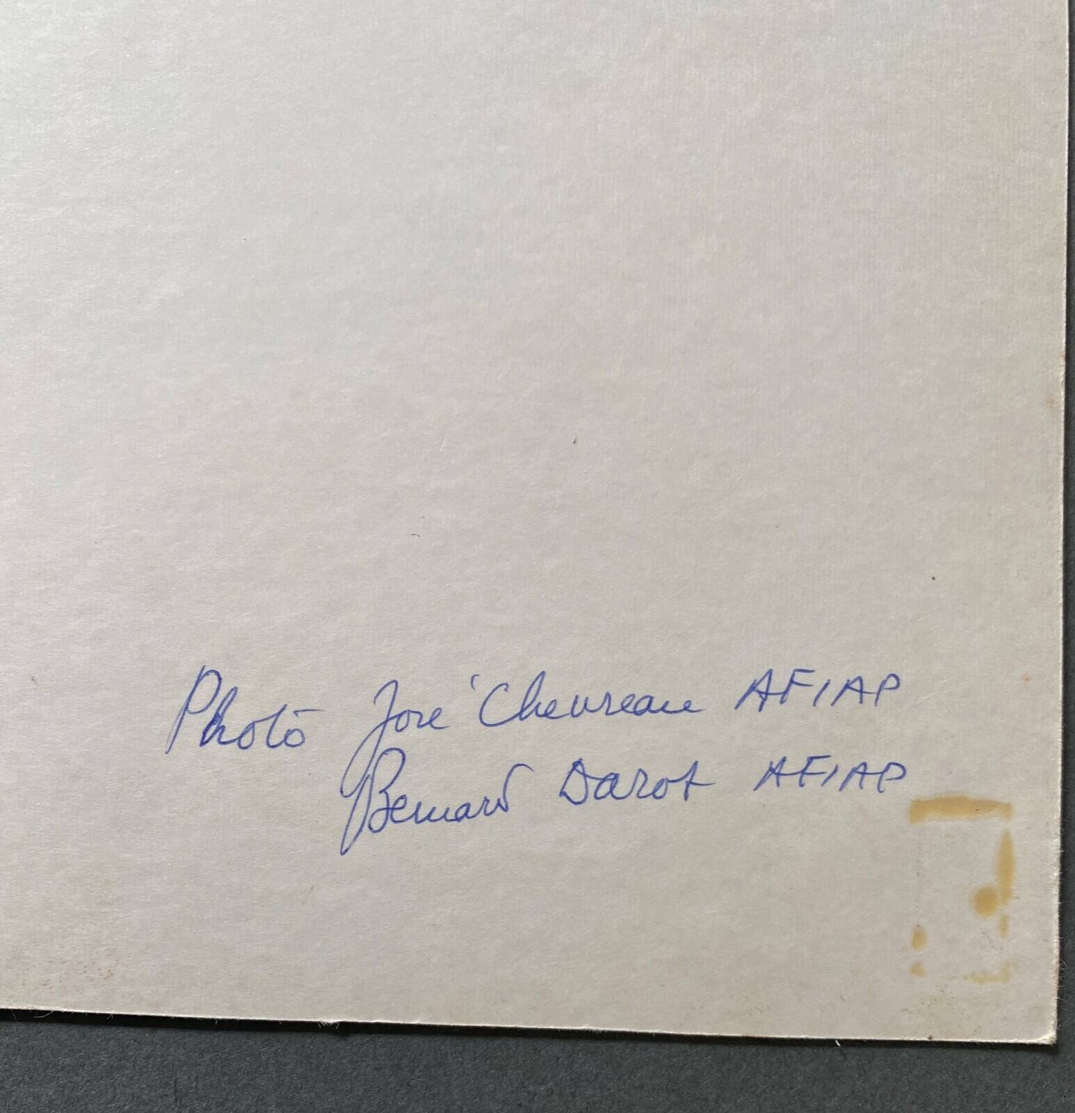 Silver gelatin photograph of Angel and Duchess by Bernard Darot and José Chevreau, 20th century