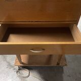 Secretary from the 1960s