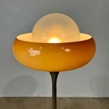 Floor Lamp by Harvey Guzzini, 1960s